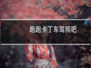 跑跑卡丁车驾照吧