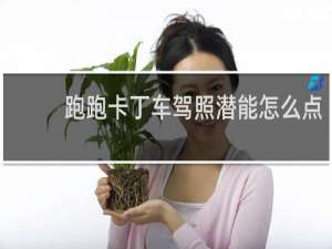 跑跑卡丁车驾照潜能怎么点