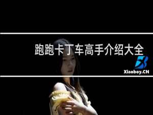 跑跑卡丁车高手介绍大全