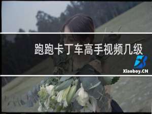 跑跑卡丁车高手视频几级