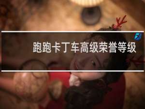 跑跑卡丁车高级荣誉等级