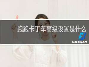 跑跑卡丁车高级设置是什么