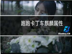 跑跑卡丁车麒麟属性