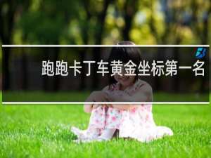 跑跑卡丁车黄金坐标第一名