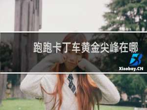 跑跑卡丁车黄金尖峰在哪