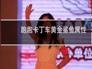 跑跑卡丁车黄金鲨鱼属性
