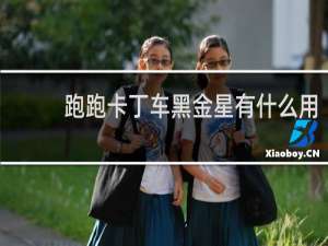 跑跑卡丁车黑金星有什么用