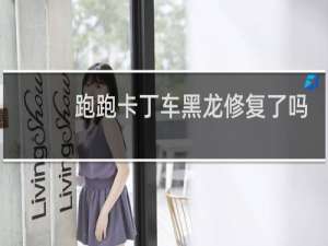 跑跑卡丁车黑龙修复了吗
