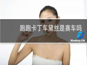跑跑卡丁车黛丝是赛车吗