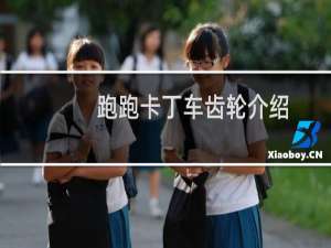 跑跑卡丁车齿轮介绍