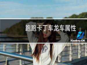 跑跑卡丁车龙车属性