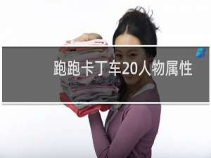 跑跑卡丁车 人物属性