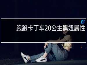 跑跑卡丁车 公主黑妞属性