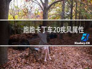 跑跑卡丁车 疾风属性