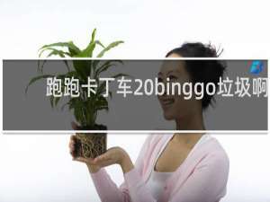 跑跑卡丁车 binggo垃圾啊