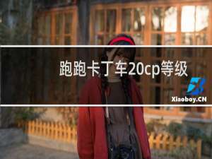 跑跑卡丁车 cp等级