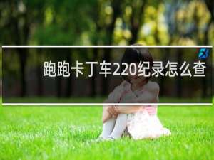 跑跑卡丁车2 纪录怎么查