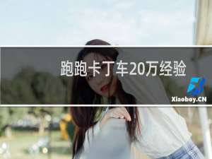 跑跑卡丁车20万经验