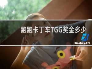 跑跑卡丁车TGG奖金多少