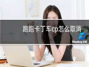跑跑卡丁车cp怎么取消