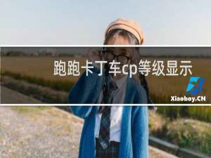 跑跑卡丁车cp等级显示