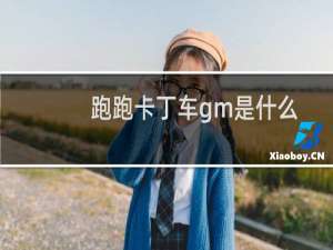 跑跑卡丁车gm是什么