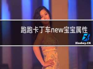跑跑卡丁车new宝宝属性