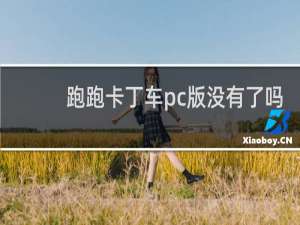 跑跑卡丁车pc版没有了吗