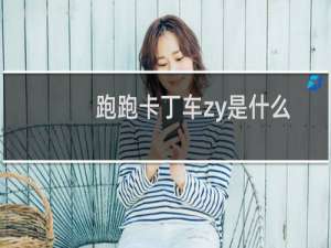 跑跑卡丁车zy是什么