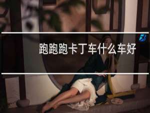 跑跑跑卡丁车什么车好