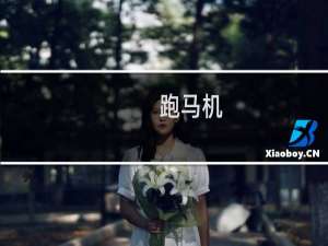 跑马机