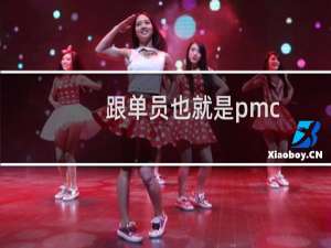 跟单员也就是pmc