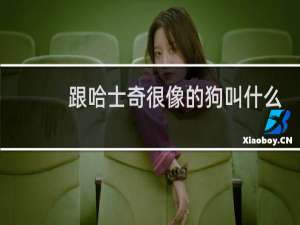 跟哈士奇很像的狗叫什么