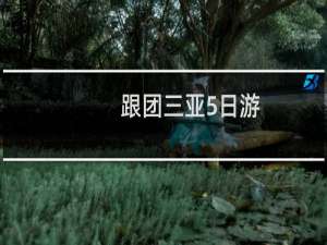 跟团三亚5日游