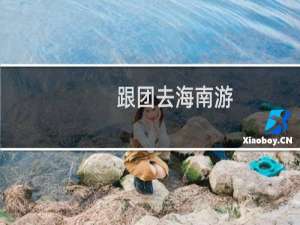 跟团去海南游