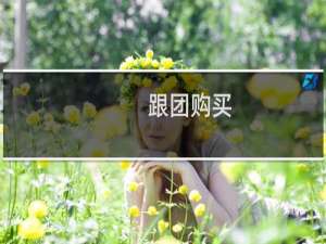 跟团购买
