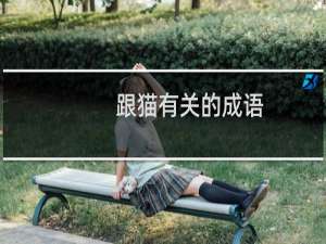 跟猫有关的成语