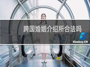 跨国婚姻介绍所合法吗