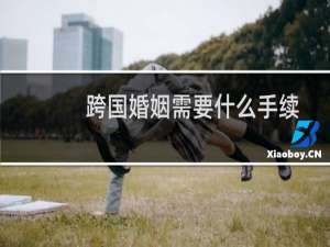 跨国婚姻需要什么手续