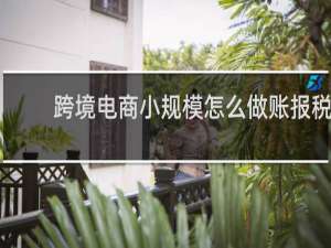 跨境电商小规模怎么做账报税