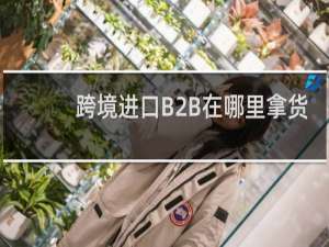 跨境进口B2B在哪里拿货