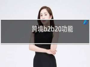跨境b2b 功能