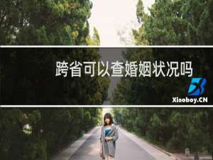 跨省可以查婚姻状况吗