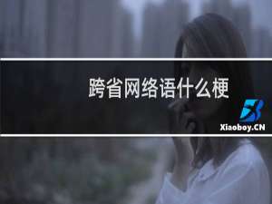 跨省网络语什么梗