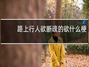 路上行人欲断魂的欲什么梗