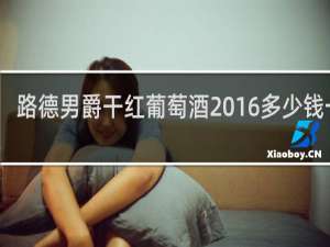 路德男爵干红葡萄酒2016多少钱一瓶