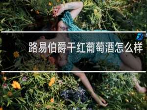 路易伯爵干红葡萄酒怎么样