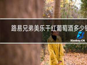 路易兄弟美乐干红葡萄酒多少钱