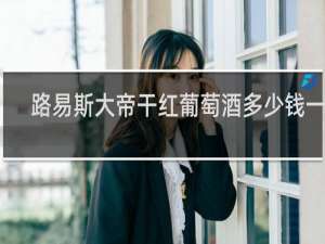 路易斯大帝干红葡萄酒多少钱一瓶
