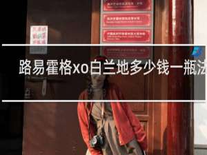 路易霍格xo白兰地多少钱一瓶法国